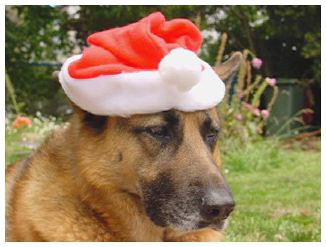 Rosa Claus